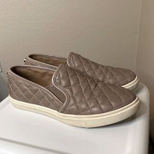 Steve Madden Ecntrcqt sneakers